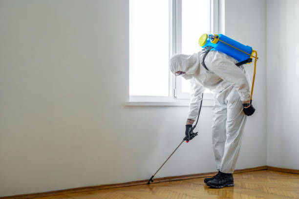 Pest Control Cost in Ruidoso, NM