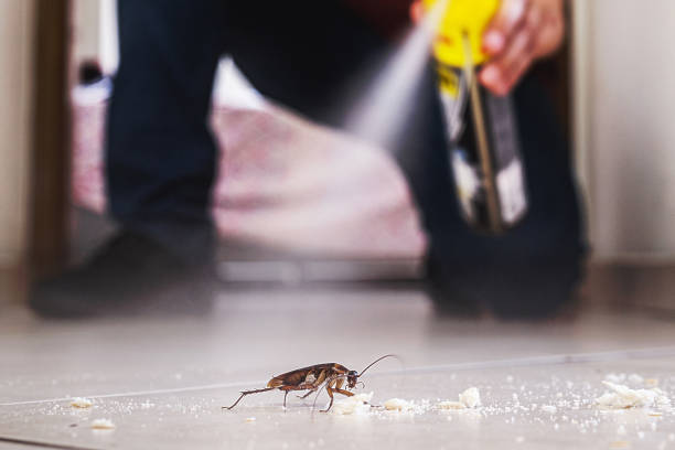 Best Commercial Pest Control Services  in Ruidoso, NM