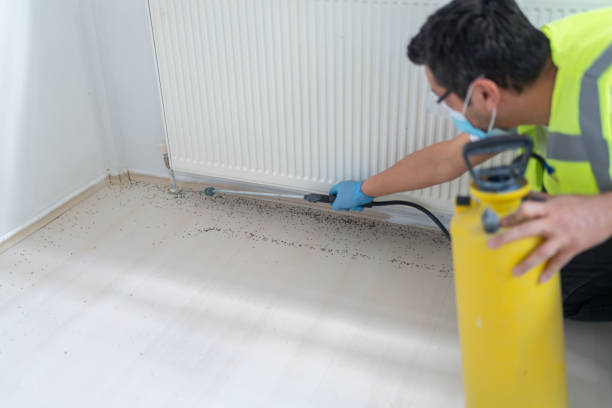 Reliable Ruidoso, NM Pest Control Solutions